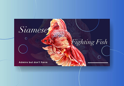暹罗斗鱼Siames为社交媒体和社区水彩色矢量插图制作的 与Siames对抗鱼类概念设计作斗争的Twister模板尾巴水彩互联网行动游泳插画