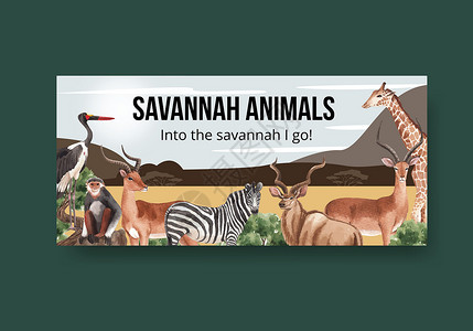 配有草原野生生物概念设计水彩图的广告板模板野猪河马动物群大猫哺乳动物插图丛林广告动物背景图片