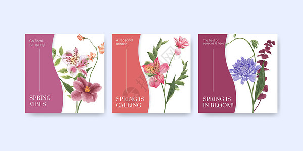 广告模板 配有春季亮明概念设计水彩色插图女性化花园植物花束绿色植物群营销海葵水彩叶子背景图片