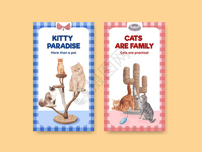带有可爱猫咪概念水彩色插图的Instagram模板绘画水彩动物社区互联网卡通片朋友爪子哺乳动物小猫背景图片