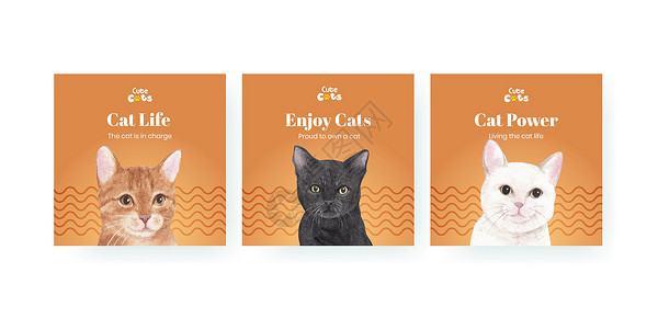 带有可爱猫咪概念水彩色插图的横条模板Name绘画宠物小猫广告哺乳动物爪子营销水彩动物朋友背景图片