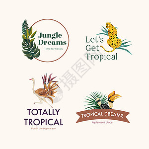 具有热带当代概念的标志设计 用于品牌推广和营销水彩矢量插画装饰品丛林植物森林叶子动物异国插图广告情调背景图片