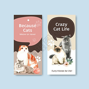 带有可爱猫咪的传单模板设计 用于小册子 广告和传单水彩插图兽性营销动物绘画艺术朋友手绘文档背景图片