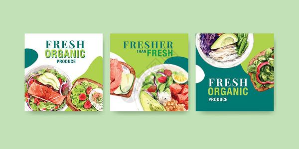 具有健康有机食品设计的广告模板 用于小册子 传单和促销水彩矢量插画水果食物饮食插图沙拉营销蔬菜生态手绘营养背景图片