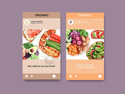 用于社交媒体 在线社区和互联网水彩矢量插图的健康和有机食品设计的 Instagram 模板沙拉水果食物饮食手绘广告网站蔬菜营养生背景图片