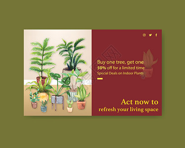 带有夏季植物设计的 Facebook 模板 用于社交媒体 互联网 网络 在线社区和广告水彩插画插图面子书绘画花园手绘花盆园艺叶子背景图片