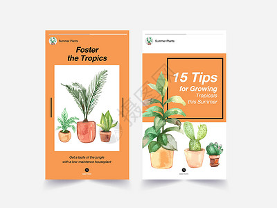 Instagram 模板设计 包括夏季植物和室内植物 适用于社交媒体 在线社区 互联网和广告水彩插图园艺箭头花园绘画肉质手绘叶子背景图片