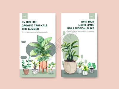 少儿体适能Instagram 模板设计 包括夏季植物和室内植物 适用于社交媒体 在线社区 互联网和广告水彩插图花盆叶子贝母箭头双色绿色肉质插画