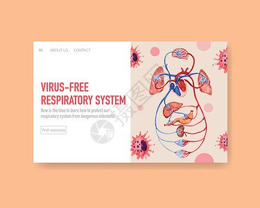 人体解剖学网站模板呼吸系统设计卫生水彩医疗呼吸疾病药品生物学互联网生理保健背景图片