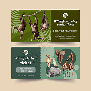 带有水彩插图的动物园门票设计绘画树叶创造力野生动物手绘藤蔓猩猩犀牛老虎打印背景图片