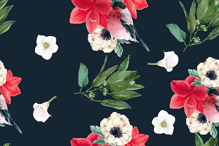 冬季绽放图案设计与水彩插图植物动物花瓣海葵手绘花朵背景图片