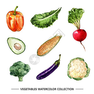 白色背景上的创意孤立水彩蔬菜插图背景图片