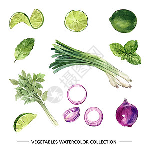 毛芹菜装饰用白色背景上的各种孤立水彩蔬菜插图插画