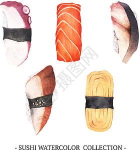 白色背景下的创意设计孤立水彩寿司插图背景图片