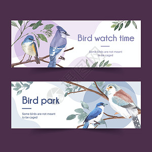 灰松鸦昆虫和鸟类横幅设计与蓝色水彩插图蓝尾网站雀科艺术广告手绘野生动物绘画树叶插画