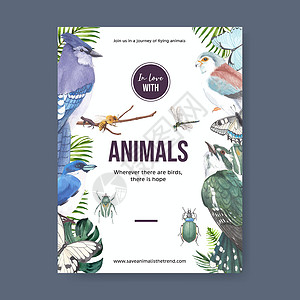 蓝金龟甲虫带有蓝色松鸦甲虫水彩插图的昆虫和鸟类海报设计插画