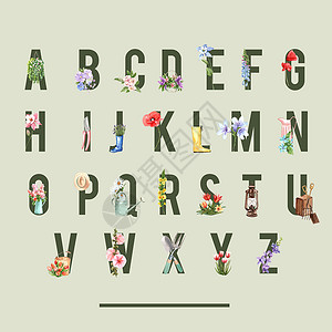 斗破苍穹字体花卉园字母表设计与攀登水彩插图插画