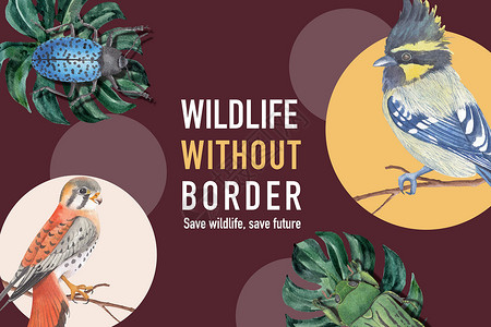 昆虫和鸟类框架设计与蓝色水彩插图背景图片
