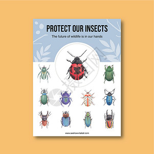 昆虫和鸟类海报设计与各种甲虫水彩插图背景图片