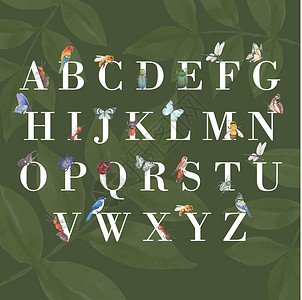 昆虫和鸟类字母表设计与水彩插图背景图片