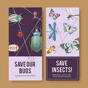 昆虫和鸟类传单设计与甲虫蝴蝶蜜蜂水彩插图背景图片