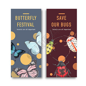 昆虫和鸟类传单设计与蝴蝶甲虫水彩插图展示创造力绘画草图蝴蝶臭虫手绘甲虫海报背景图片