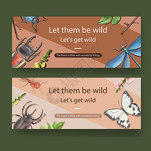 昆虫和鸟类横幅设计与蜻蜓蝴蝶甲虫水彩插图背景图片