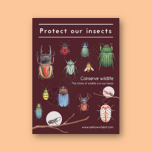 昆虫和鸟类海报设计与甲虫水彩插图背景图片