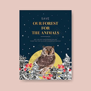 冬季动物海报设计配有猫头鹰 雪 叶子和彩色图画背景图片
