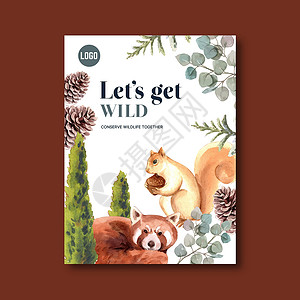 双羽状冬季动物海报设计 配有松树 树 浣熊水彩色插图插画