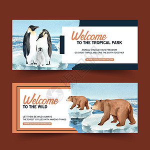 冬季动物标语设计 用熊 企鹅水彩画背景图片