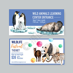 冬季动物证设计有海豹 企鹅 冰水彩色插图高清图片