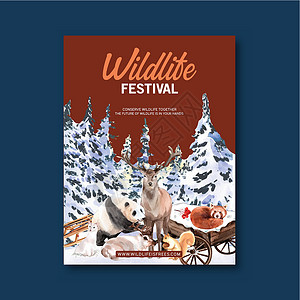 冬季动物海报设计配有松树 鹿 熊猫水彩画背景图片