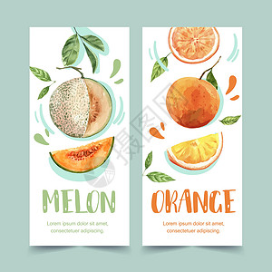 爱媛橘子具有水果主题 甜瓜和橙色矢量说明模板的飞水彩色设计插画