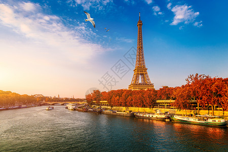 战神在秋天树叶的艾菲尔铁塔 埃菲尔铁塔与秋天的落叶在巴黎 法国 塞纳河在巴黎与艾菲尔铁塔在秋天的时间 有艾菲尔铁塔的巴黎在秋天时间背景