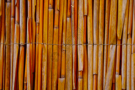 纹竹子的素材在公园的竹栅栏上缝合背景