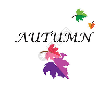 秋天的标志矢量模板植物学橙子红色插图森林叶子树叶白色绿色棕色背景图片