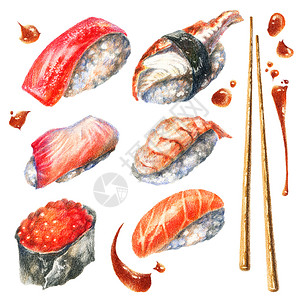 三文鱼手绘sush 的彩色铅笔插图食物艺术国家海苔草图手绘绘画鱼片大豆卡通片背景