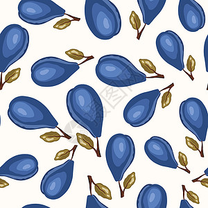 杏叶子与李子在白色背景上的无缝模式 天然美味新鲜成熟美味的水果 设计的矢量插图 有叶子的程式化李子 食物概念蓝色草图卡通片蔬菜织物市场插画