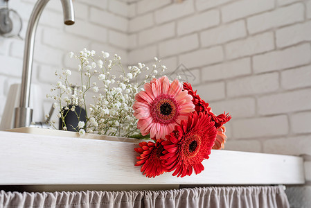 贝拉格在厨房水槽里 紧贴红色和粉红色的格贝拉小菊花背景