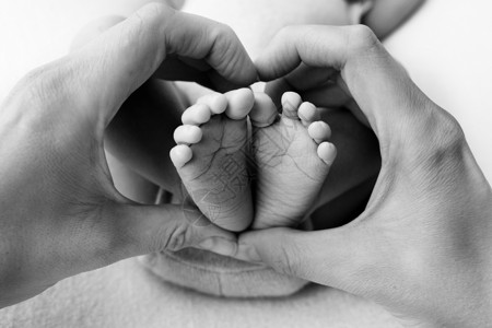 婴儿相片新生儿脚在父亲 父母的手中 工作室摄影 黑白相片 幸福的家庭概念孩子们压痛投标产妇新生母亲皮肤婴儿童年护理背景