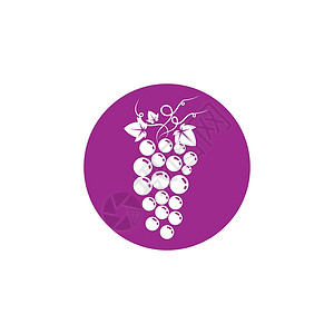 无籽提子葡萄矢量图标插图设计美味桌子红色叶子农场浆果配种葡萄园植物水果插画