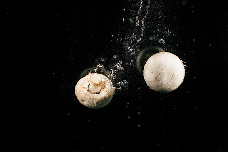 带露水的蘑菇新鲜的白色蘑菇在黑底水中坠落食物厨房服务装饰工作室餐饮饮食宴会情调房间背景