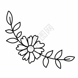 半圆形矢量插图中带床单的组合花背景图片