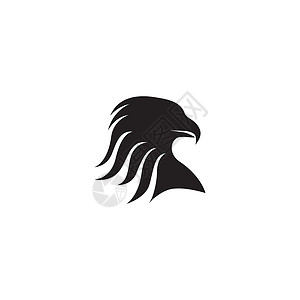 鹰头标志模板 vecto金融盔甲标签星星金子公司创造力商业身份航班背景图片