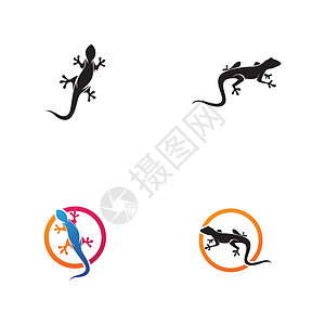 异国动物蜥蜴符号图标 vecto兔子标识卡通片变色龙尾巴乌龟壁虎宠物爬虫情调插画