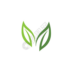 绿叶生态自然元素 vecto横幅生物植物艺术环境公司贴纸商业标签插图背景图片