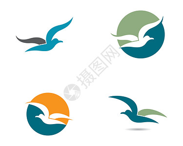 海鸥符号插图设计羽毛自由动物燕鸥鸟类尾巴翅膀掠夺速度天空设计图片
