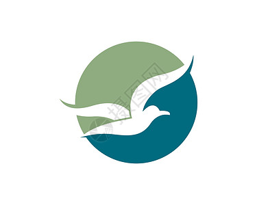 白额燕鸥海鸥符号插图设计绘画海滩剪影翅膀飞行动物乌鸦自由羽毛掠夺设计图片