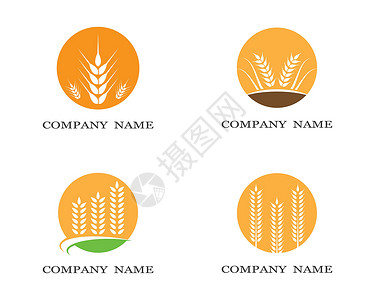 麸质小麦符号矢量图标它制作图案农场粮食插图市场生长种子收成植物面包产品插画